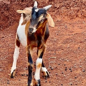 Meet your Posher, Margaret